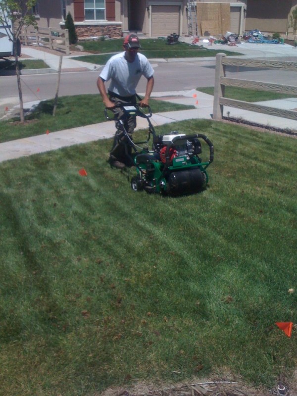 Lawn aeration in Brookfield, WI