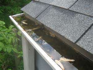 Gutter cleaning in Brookfield, WI