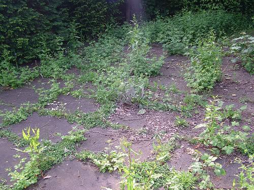 Planting bed weeds in Brookfield, WI