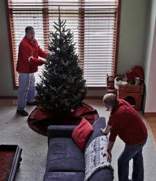 GMS delivers a Christmas Tree to your home