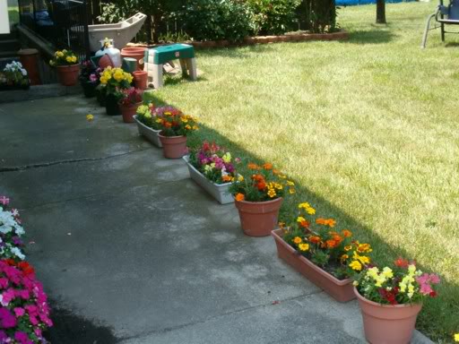 Planting potted annuals in Brookfield, WI