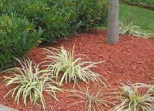 Mulch delivery in Brookfield and Elm Grove, WI